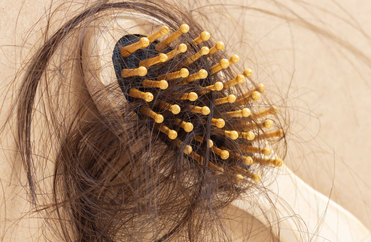 ¿CAÍDA ESTACIONAL? | Estos son los activos que tu cabello necesita este otoño
