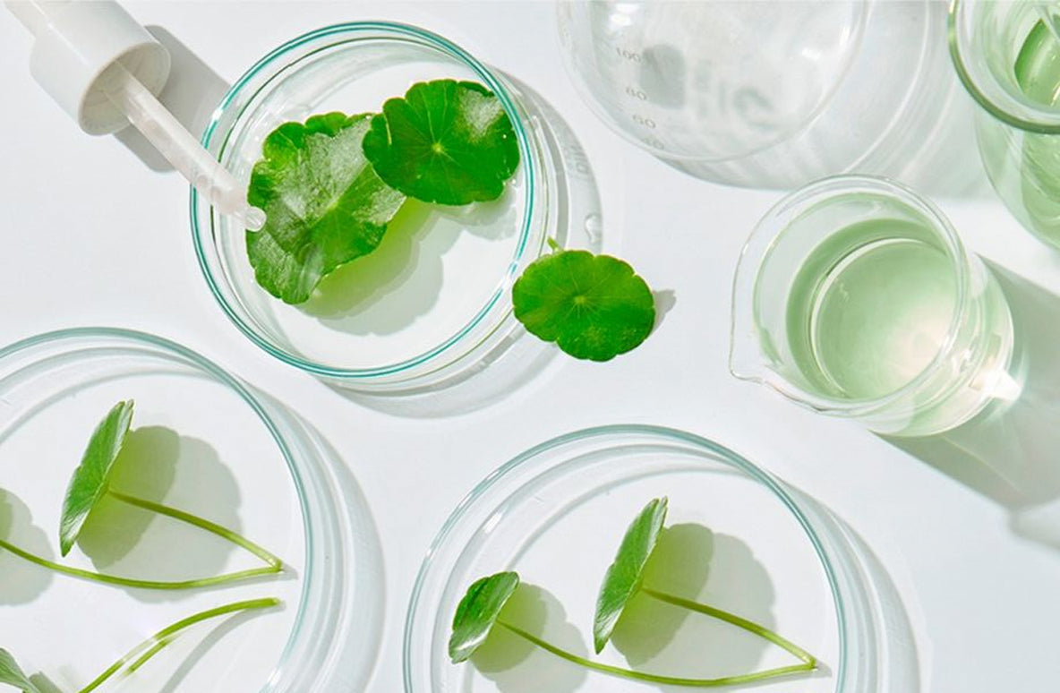 EXOSOMAS EN COSMÉTICA | La revolución de la regeneración de la piel
